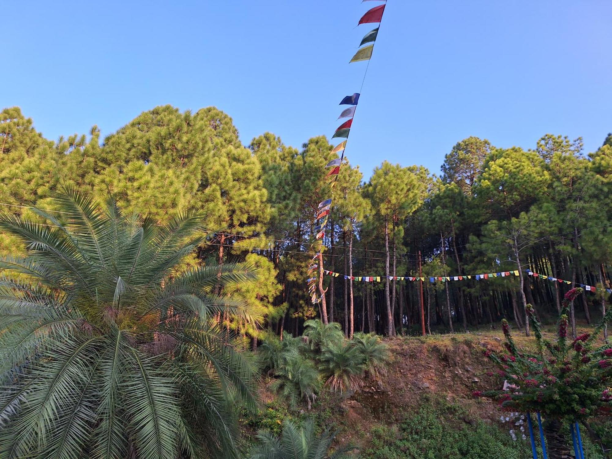 Tathastu Bir -Homestay ,Dorm,Hostel Exterior foto