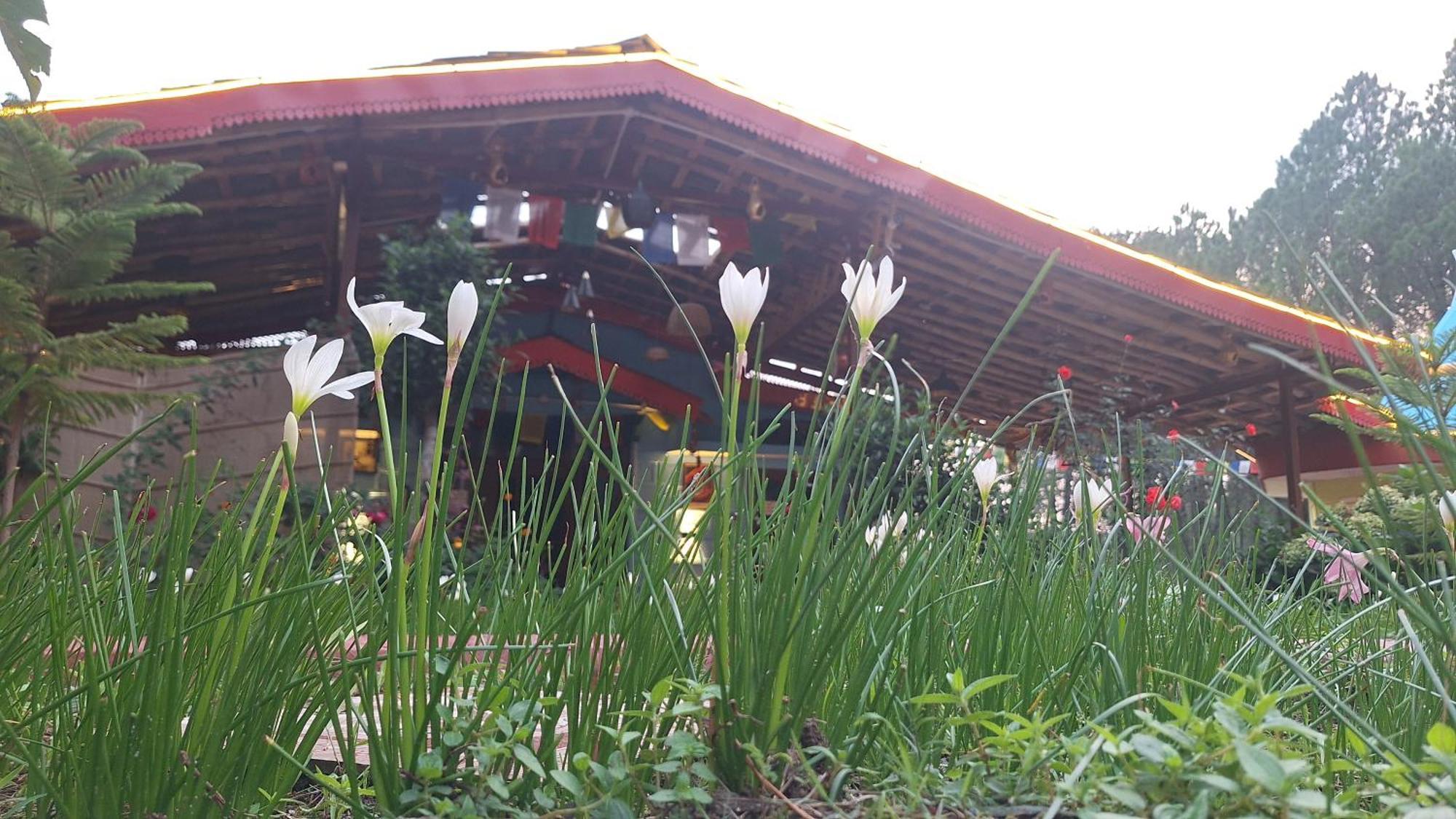 Tathastu Bir -Homestay ,Dorm,Hostel Exterior foto